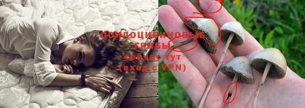 крисы Верхнеуральск