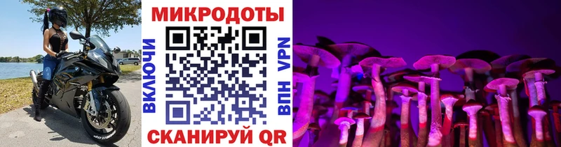 Псилоцибиновые грибы мухоморы  Северодвинск 