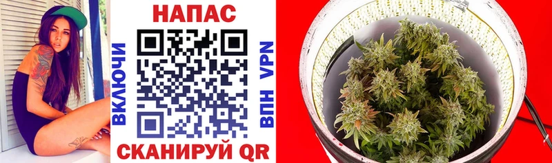 где продают   Северодвинск  МАРИХУАНА индика 